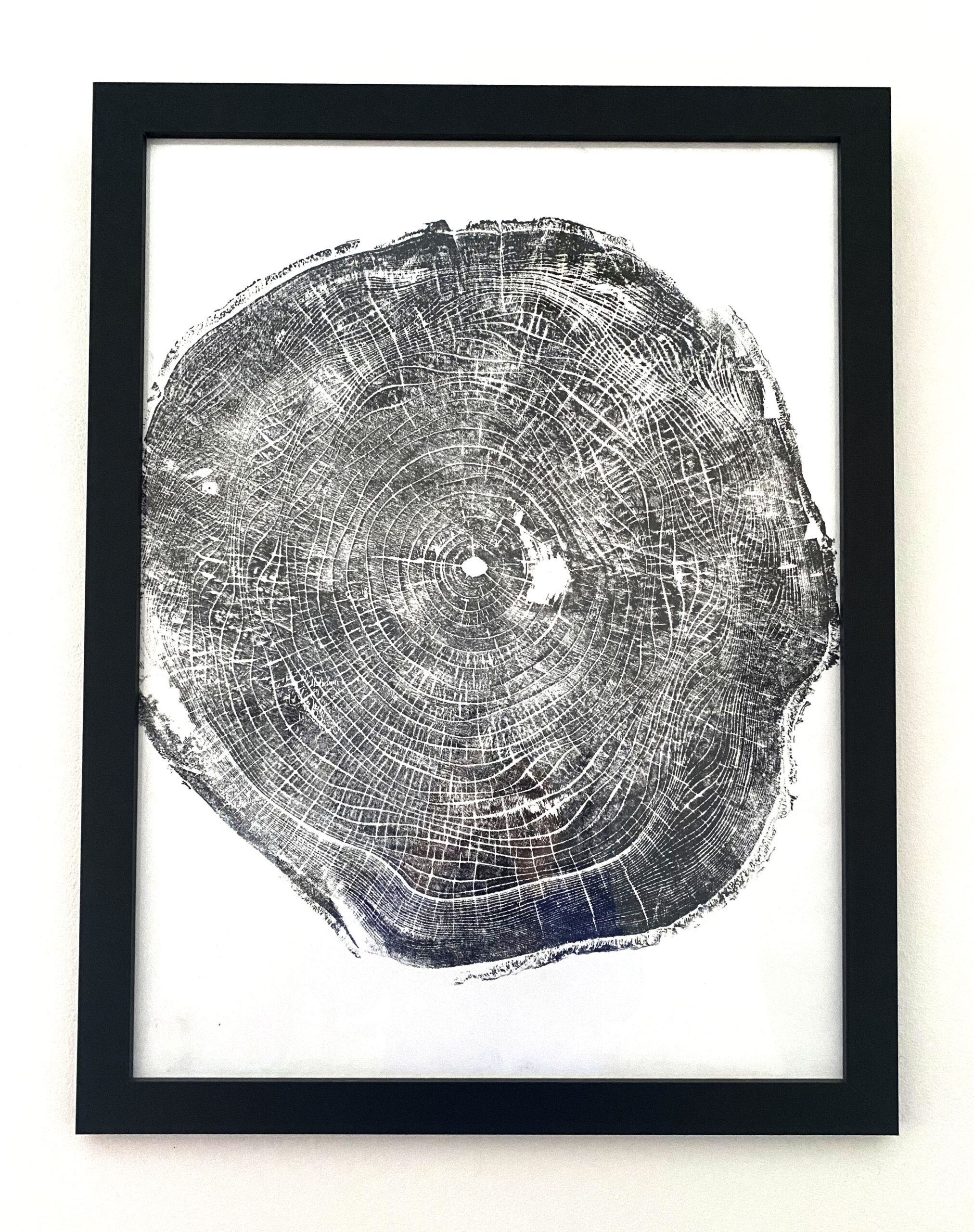 Tree Ring Print -Tree From Heaven