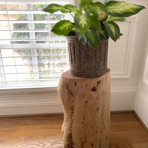 15. Stump End Table - 1